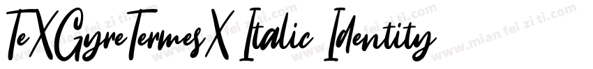 TeXGyreTermesX Italic Identity H字体转换